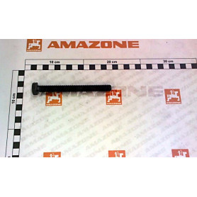 Vis 12X120 8.8 ZGB DC186 Amazone
