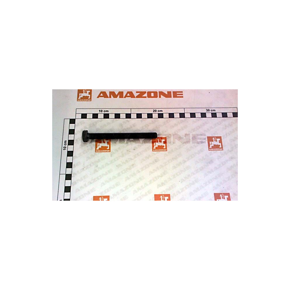 Vis 12X120 8.8 ZGB DC186 Amazone