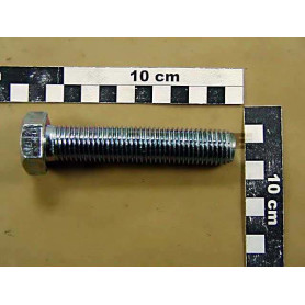 Vis 20X100 4017 8.8 A2G DC199 Amazone