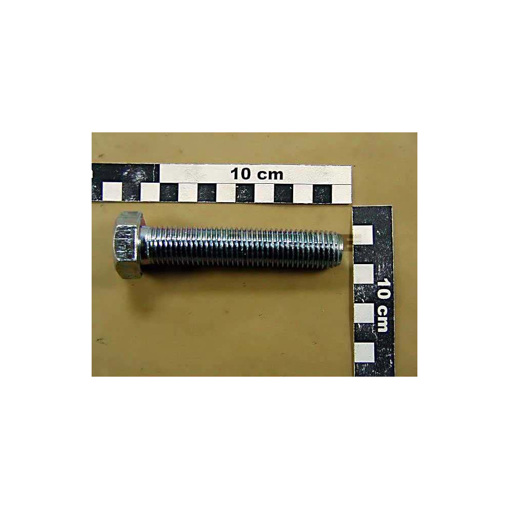 Vis 20X100 4017 8.8 A2G DC199 Amazone