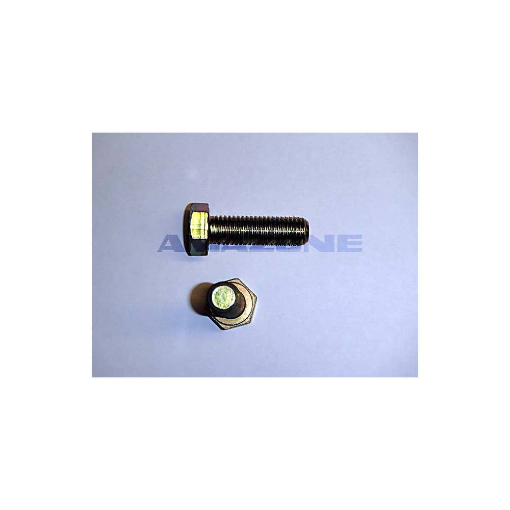 Vis 12X 40 4017 10.9 DC193 Amazone
