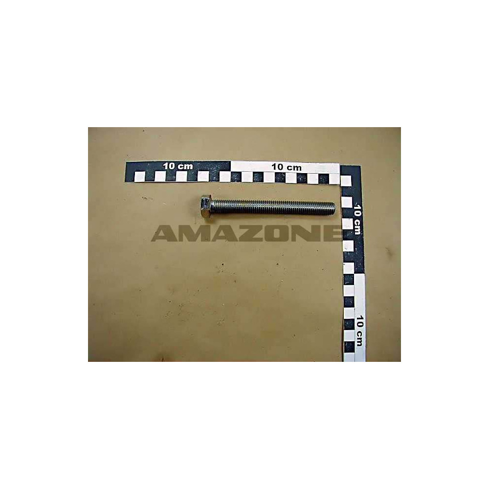 Vis HEX 12X110 ZA-TS DC200 Amazone