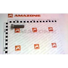 Vis 16X65 A2-70 DC202 Amazone