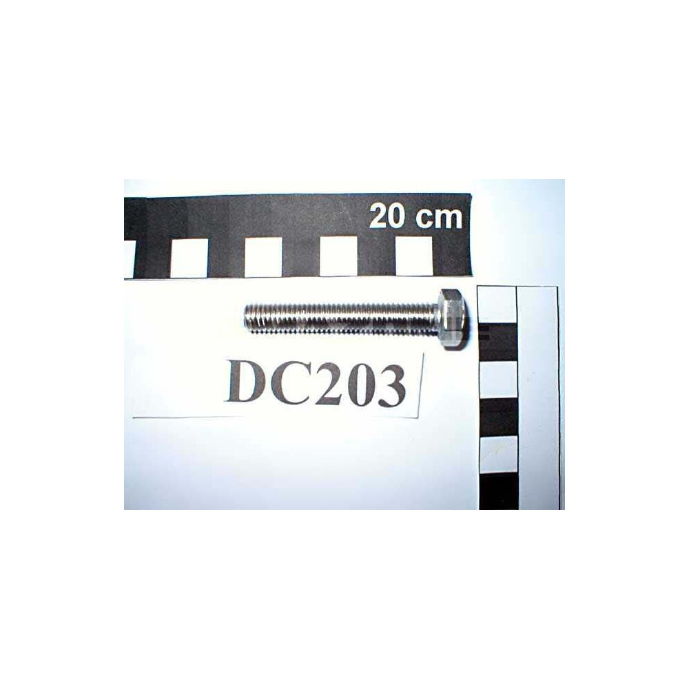 Vis 08X 50 4017 A2-70 DC203 Amazone