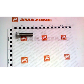 Vis 16X 65 4017 A2-70 DC205 Amazone