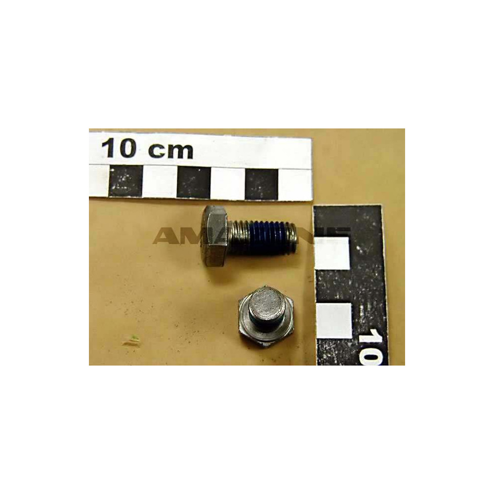 Vis 10X 20 4017 8.8 A2-70 DC213 Amazone