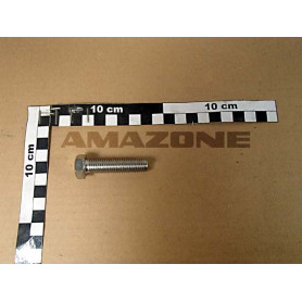 Vis 12X 50 4017 A2-70 DC217 Amazone