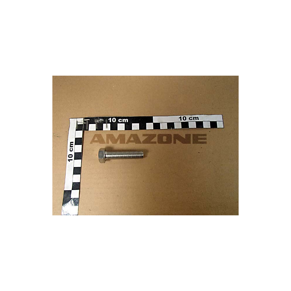 Vis 12X 50 4017 A2-70 DC217 Amazone