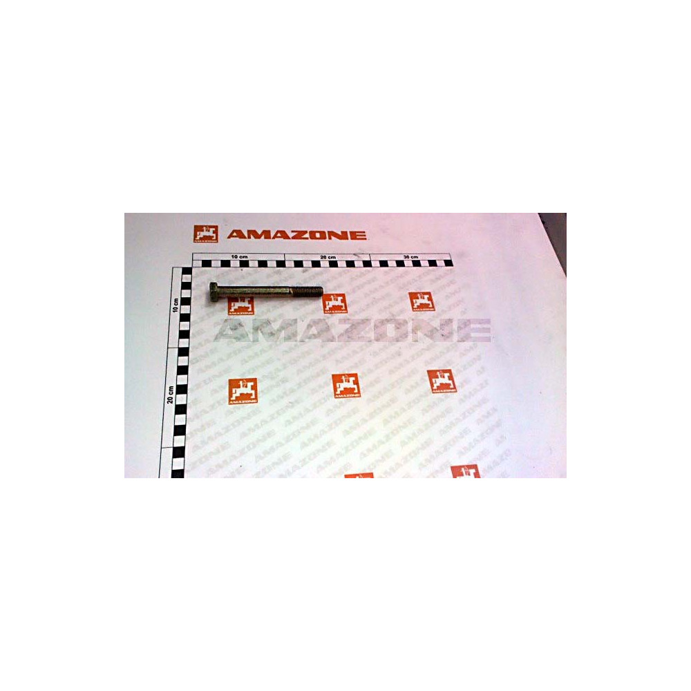 Vis 12X110 4017 8.8 A2G DC218 Amazone