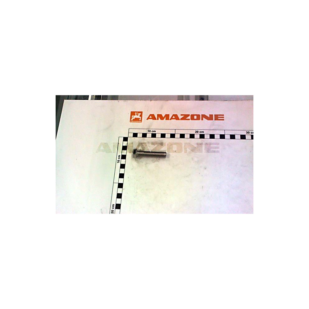 Vis tete HEX 12 X 60 / A2-70 DC231 Amazone