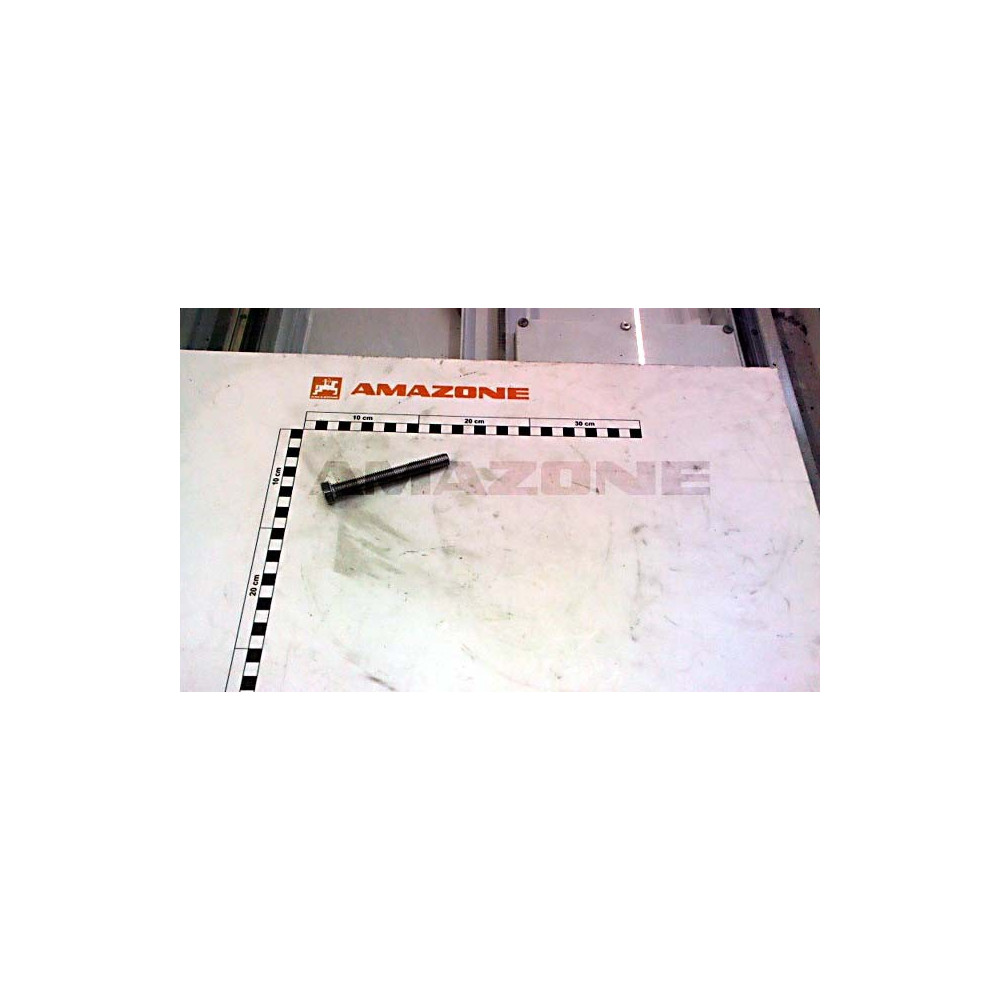 Vis 12X100 4017 A2-70 DC232 Amazone