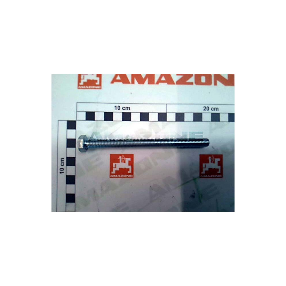 Vis 10X130 4017 8.8 A2G DC241 Amazone