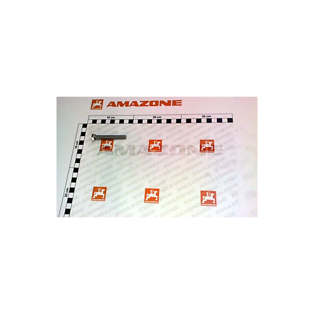 Vis 08X 65 4017 A2-70 DC233 Amazone