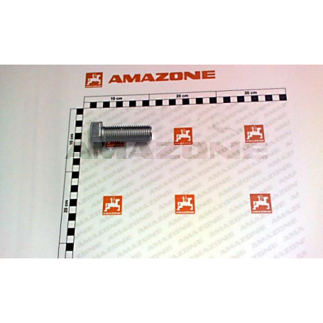 Vis 4017 24X 70 8.8 A2G Réf. DC240 - AMAZONE Vis 4017 24X 70 8.8 A2G Réf. DC240 - AMAZONE