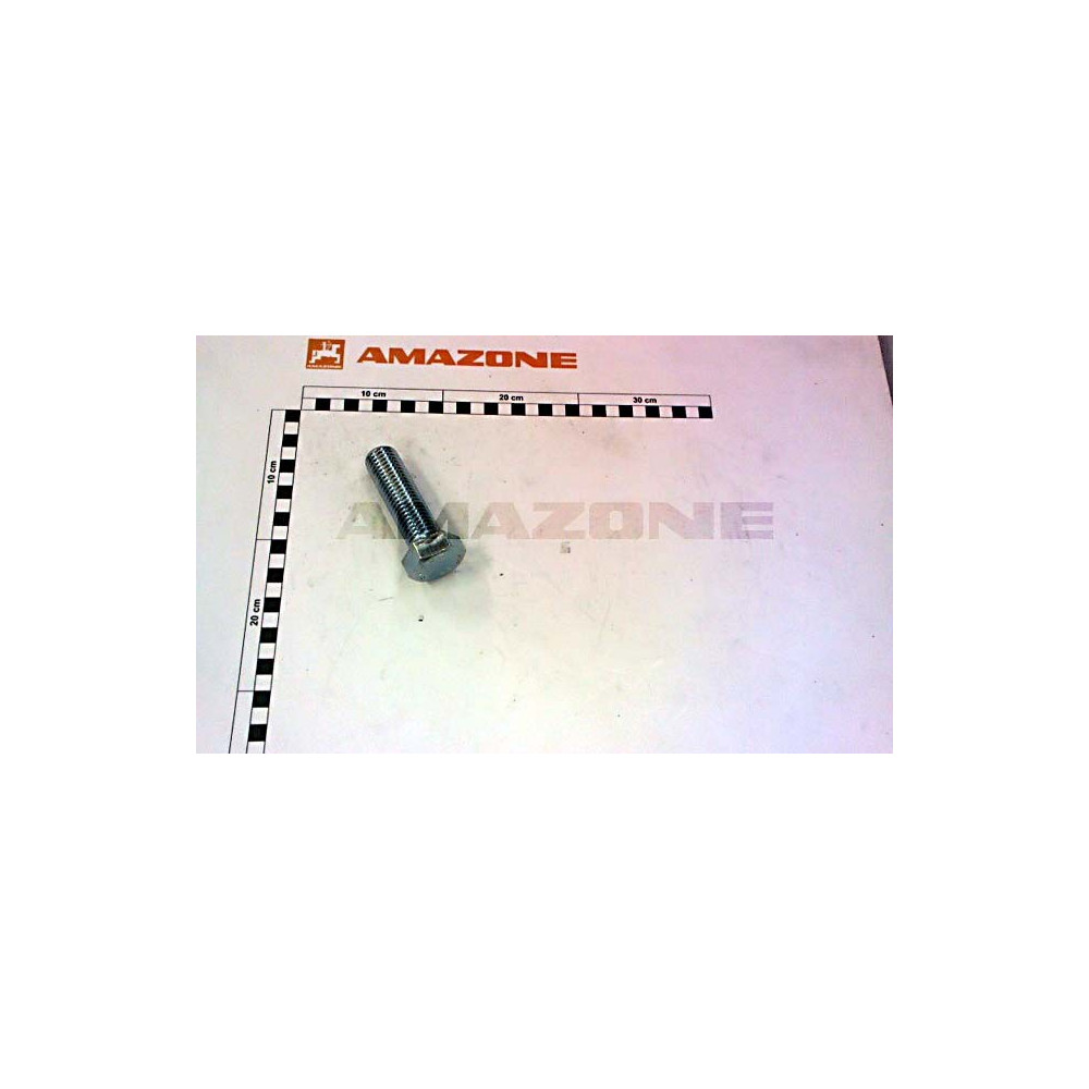 Vis 24X 80 4017 8.8 A2G DC246 Amazone