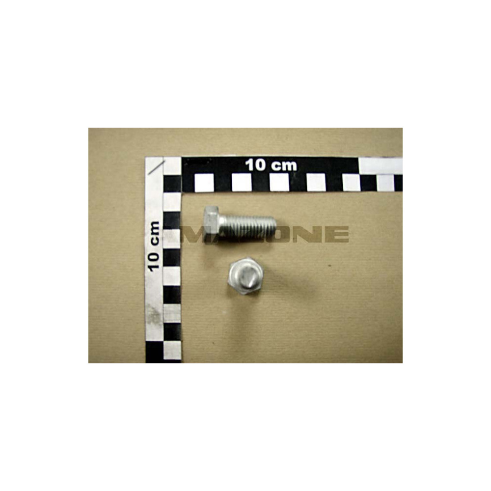 Vis 12X 30 4017 10.9 DC238 Amazone