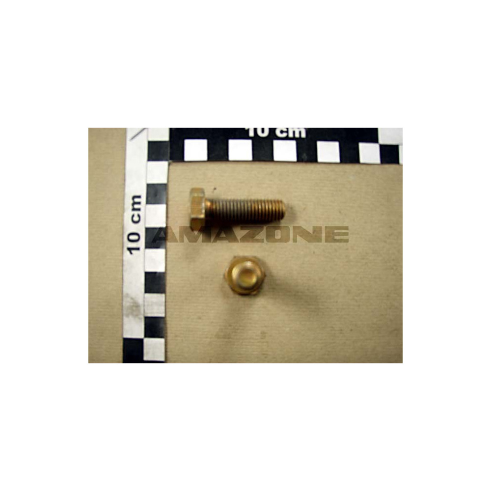 Vis 10X35 10.9 DC247 Amazone