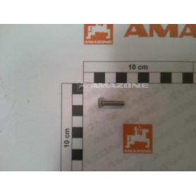 Vis 05X 20 4017 A2-70 DC253 Amazone