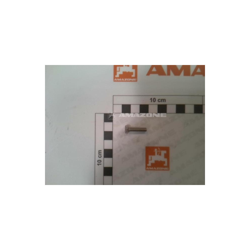 Vis 05X 20 4017 A2-70 DC253 Amazone