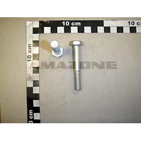 Vis 10X 65 4017 10.9 DC248 Amazone