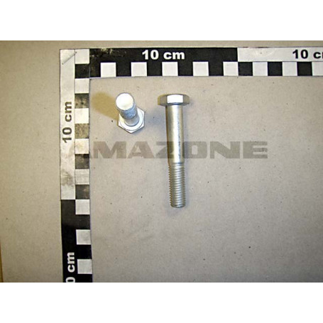 VIS 10X 65 4017 10.9 Réf. DC248 AMAZONE
