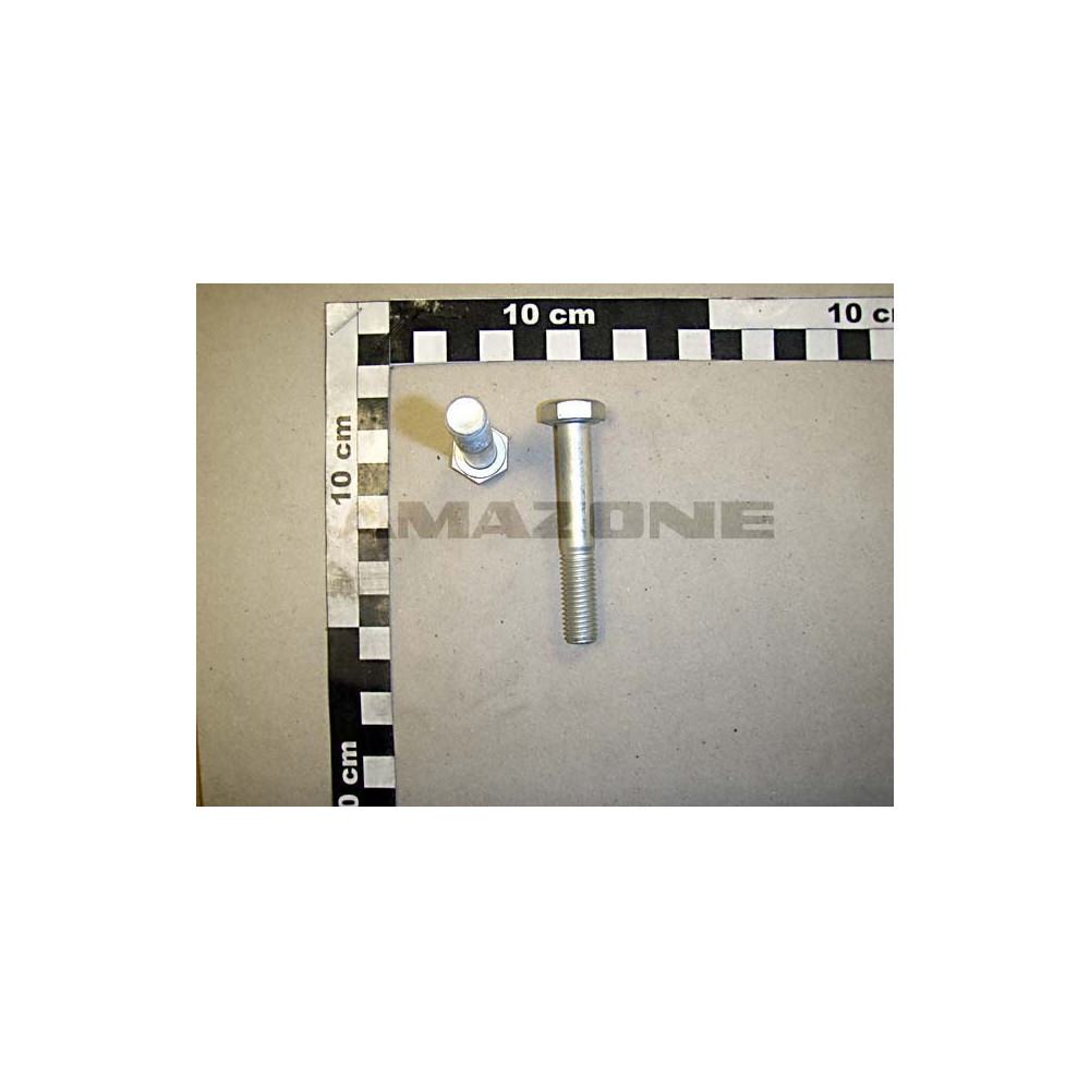Vis 10X 65 4017 10.9 DC248 Amazone