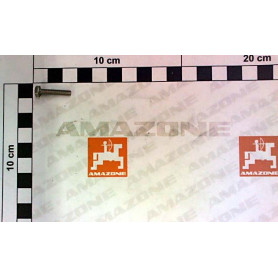 Vis 04X 20 4017 A2-70 DC252 Amazone