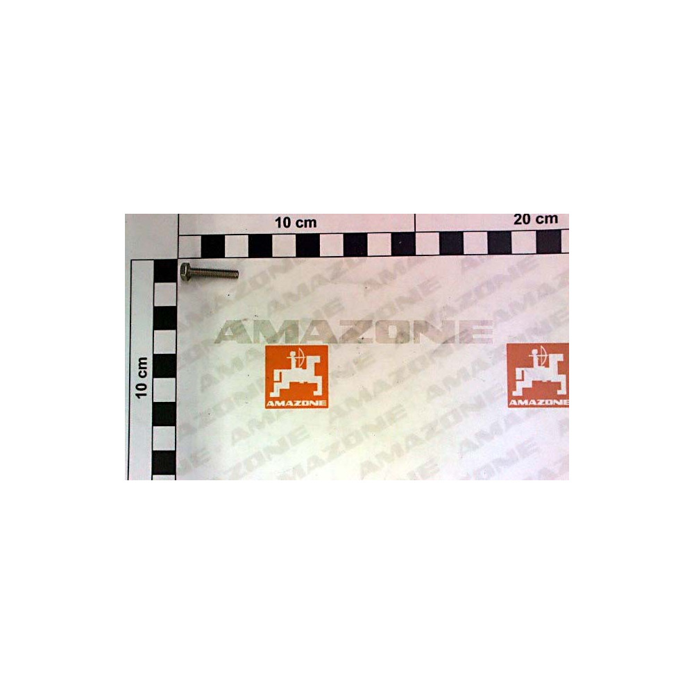 Vis 04X 20 4017 A2-70 DC252 Amazone