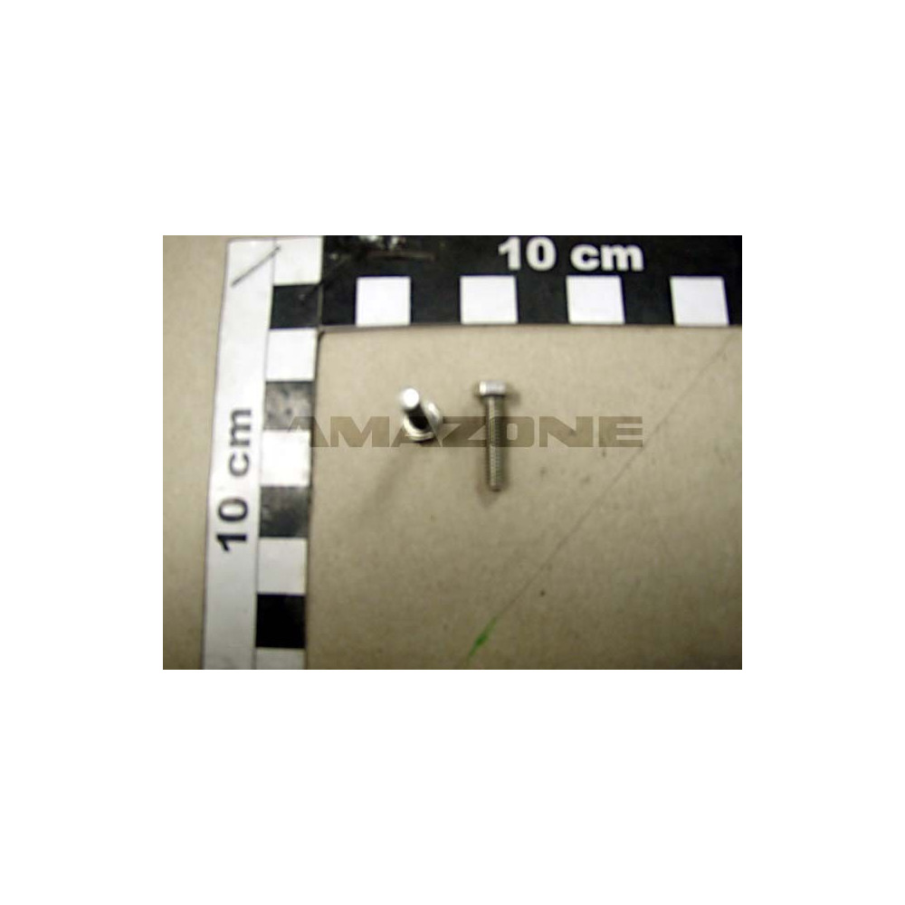 Vis 04X 16 4017 8.8 DC263 Amazone