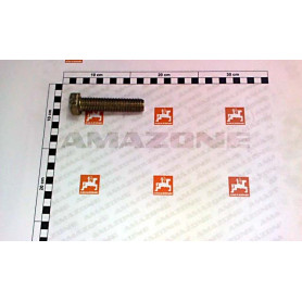 Vis 20X 90 4017 8.8 A2G DC265 Amazone