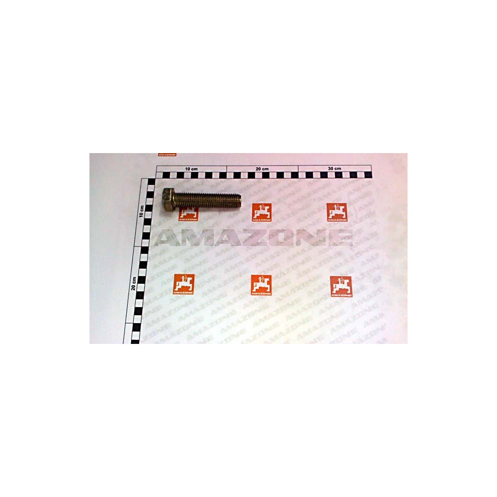 Vis 20X 90 4017 8.8 A2G DC265 Amazone