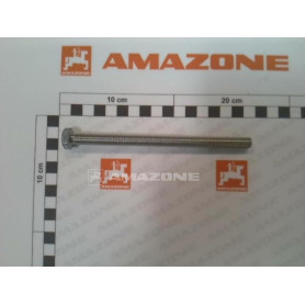 Vis 10X150 4017 8.8 A2G DC272 Amazone
