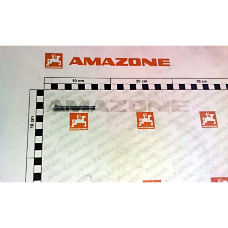 Vis 5 X 55 Réf. DC286 - AMAZONE Vis 5 X 55 Réf. DC286 - AMAZONE
