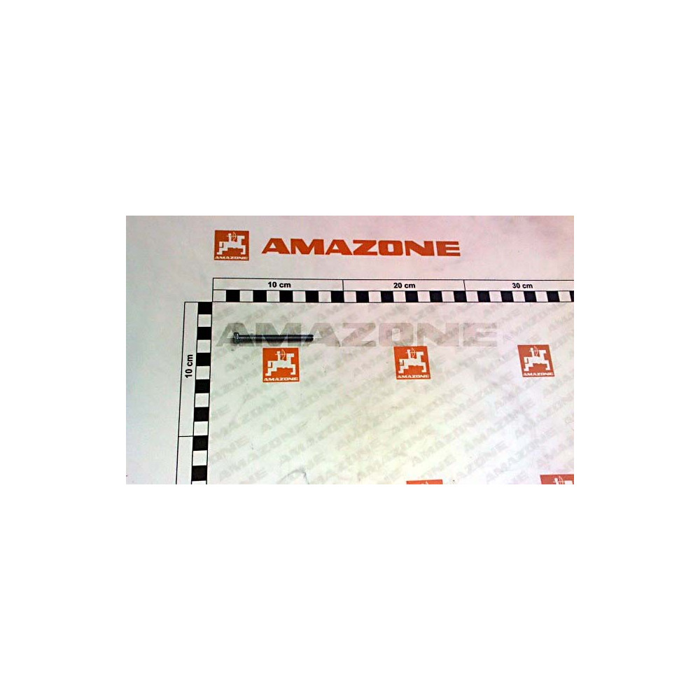 Vis 5 X 55 DC286 Amazone