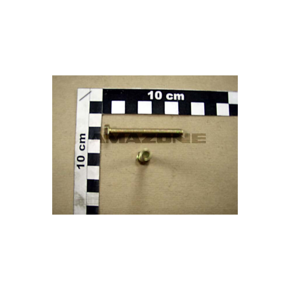 Vis 6X55 8.8 A2G catros DC290 Amazone