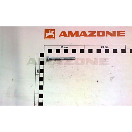 Vis 06X 65 4017 8.8 Réf. DC291 - AMAZONE Vis 06X 65 4017 8.8 Réf. DC291 - AMAZONE