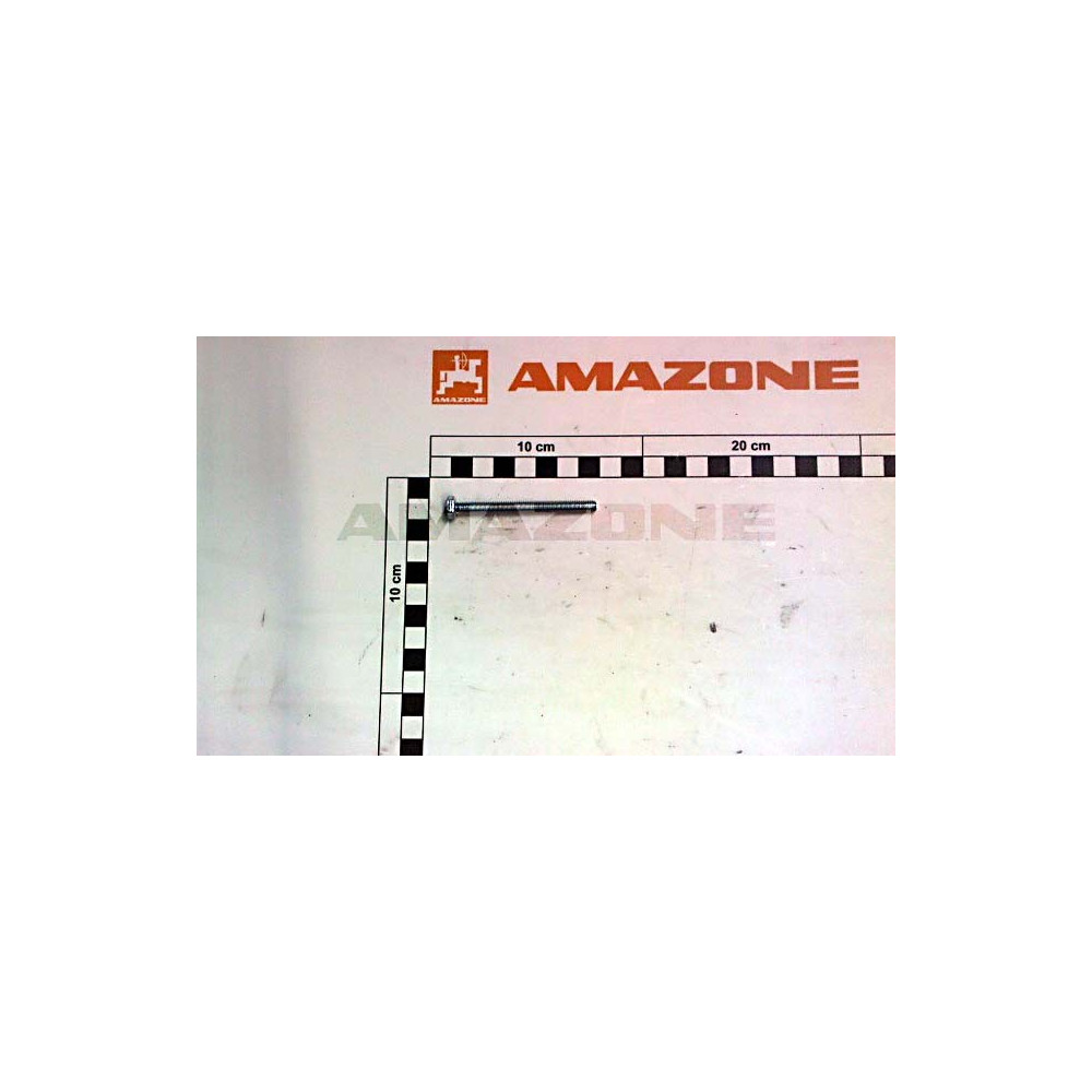 Vis 06X 65 4017 8.8 DC291 Amazone