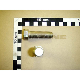 VIS 16X 55 4017 10.9 A2G Réf. DC312 AMAZONE