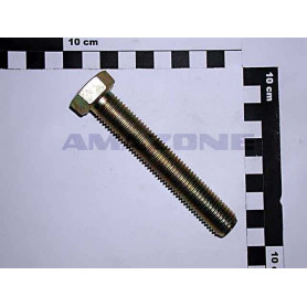 Vis 10X160 8.8 4017 DC316 Amazone