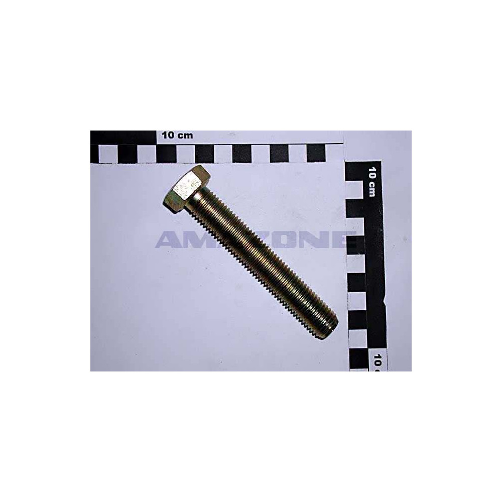 Vis 10X160 8.8 4017 DC316 Amazone
