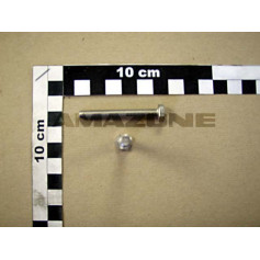 Vis 55,0X44,0X4,2 UX Réf. DC339 - AMAZONE Vis 55,0X44,0X4,2 UX Réf. DC339 - AMAZONE