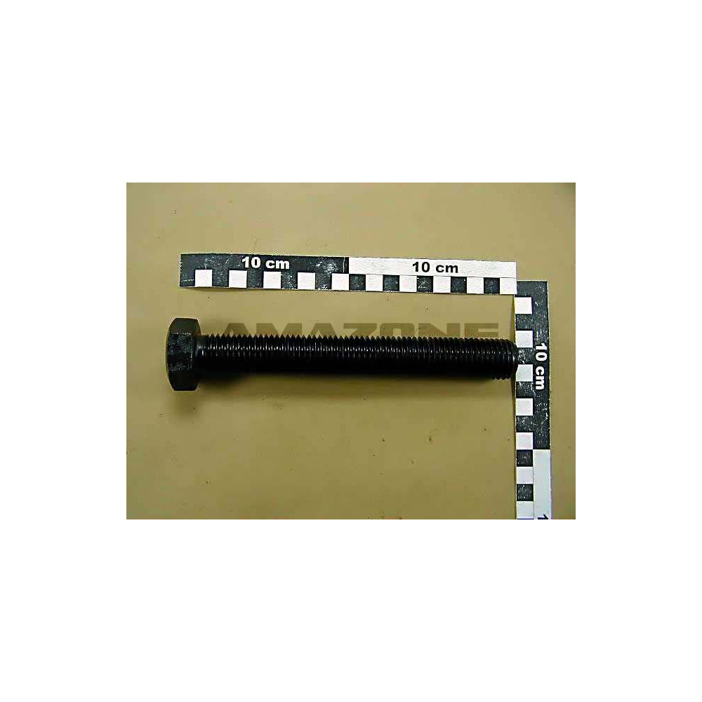 Vis 24X180 4017 10.9 DC344 Amazone