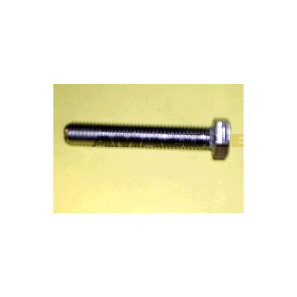 Vis A tete hexagonal DC341 Amazone