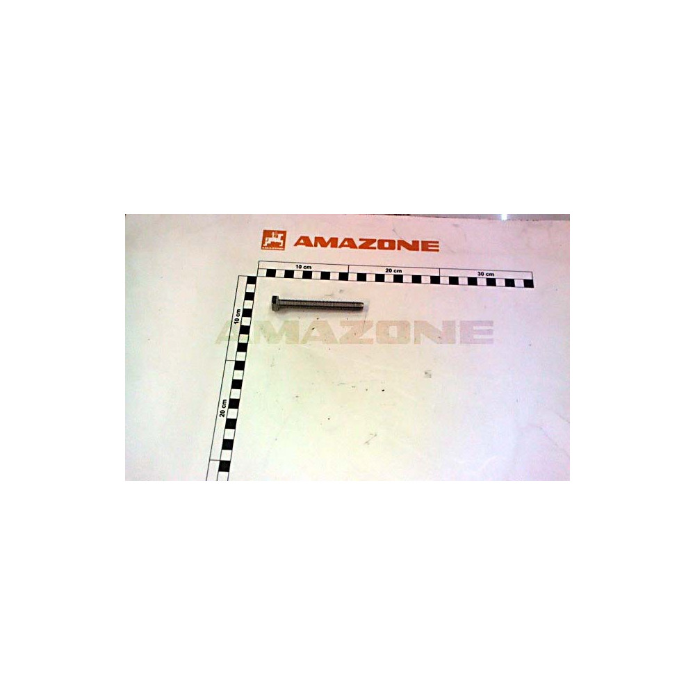 Vis 10X90 A2-70 ZAM DC352 Amazone
