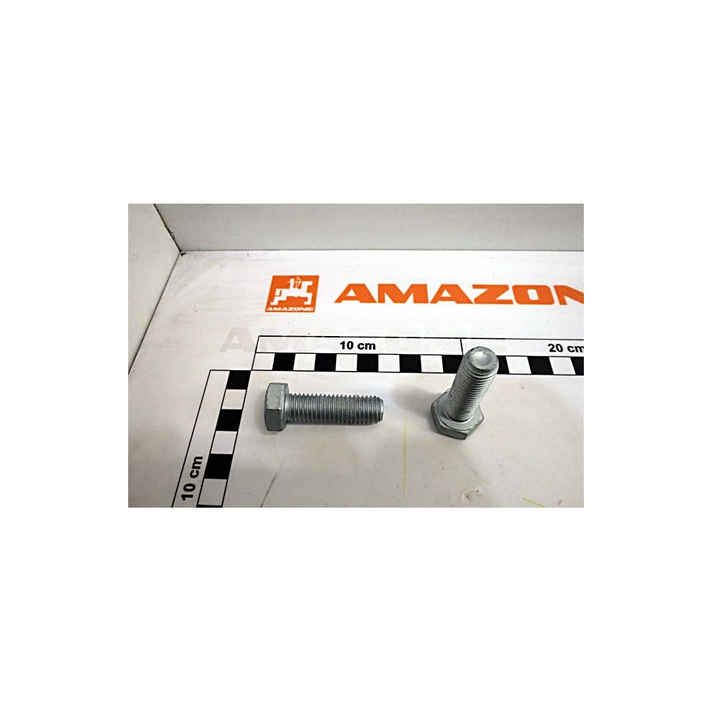 Vis 12X40 12.9 DC369 Amazone