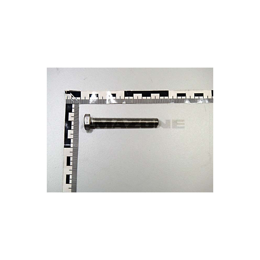 Vis 10 X 75 DC380 Amazone