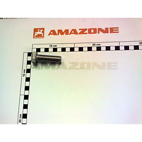 Vis 16X 55 A2-70 Réf. DC385 - AMAZONE Vis 16X 55 A2-70 Réf. DC385 - AMAZONE