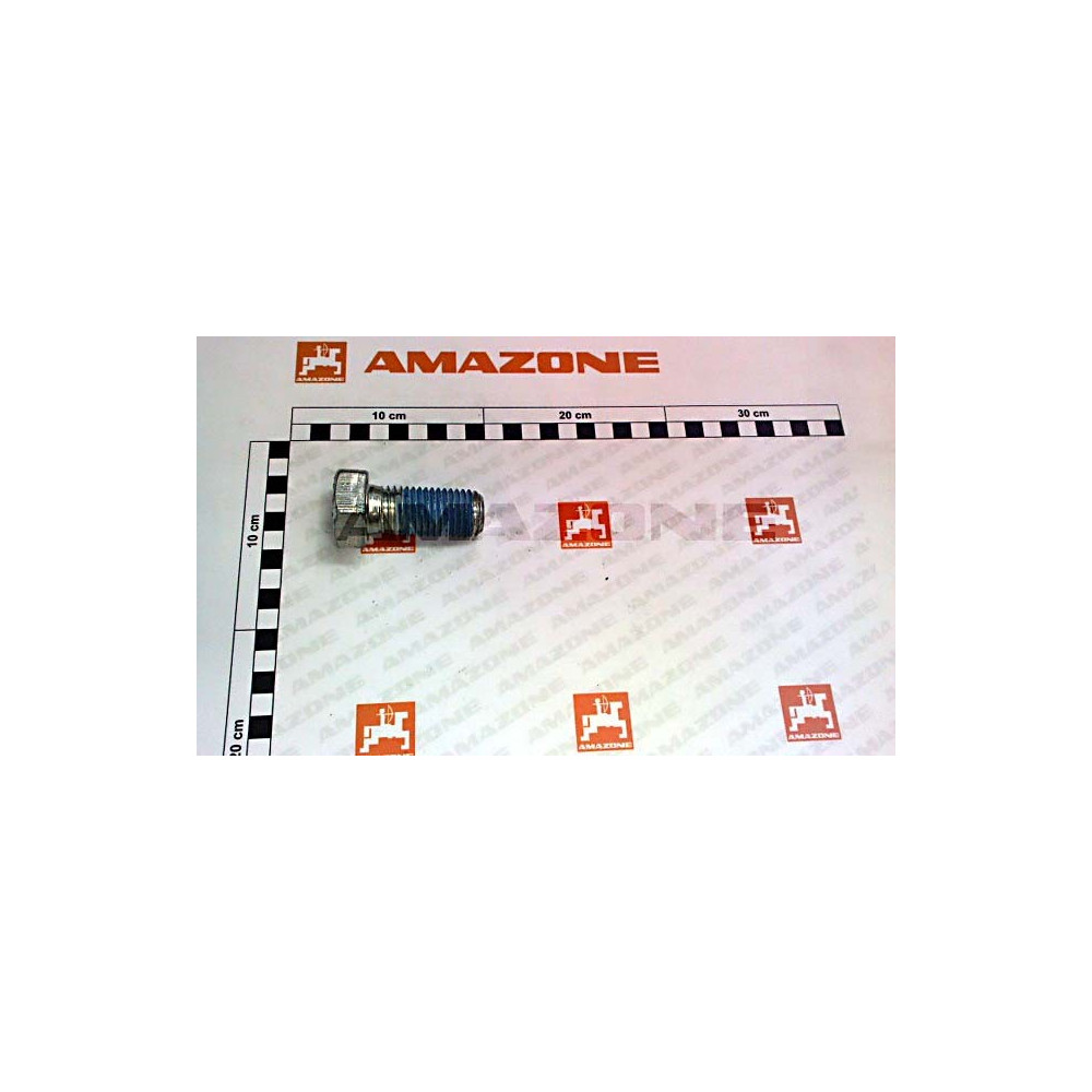 Vis A tete hex. 24X 55 8.8 A DC386 Amazone