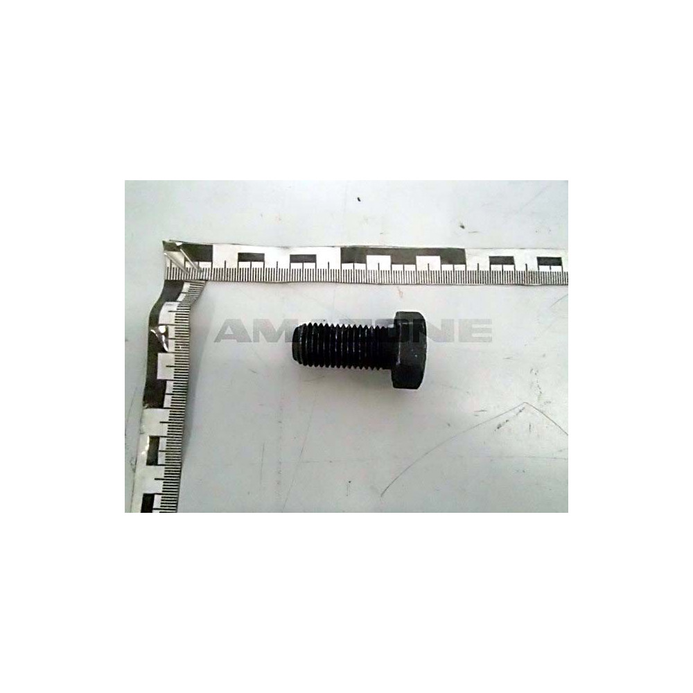 Vis 16X35 10.9 DC392 Amazone
