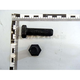Vis 16 X 55 10.9 DC391 Amazone